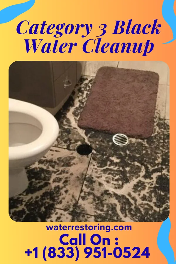Category 3 Black Water Cleanup in Brooklyn, IA