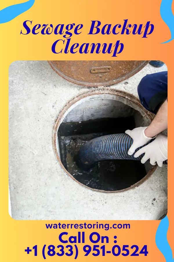 Sewage Backup Cleanup in Brooklyn, IA